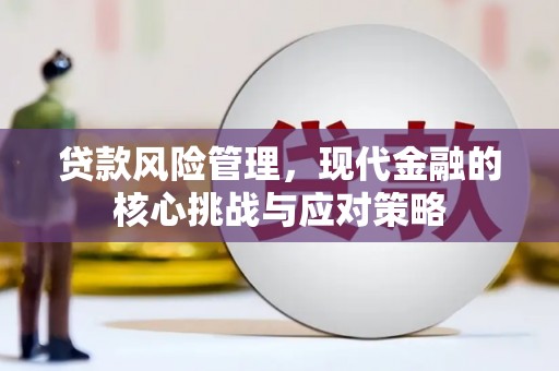 大堂贷款风险管理，现代金融的核心挑战与应对策略