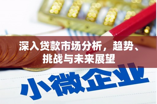 宾川深入贷款市场分析，趋势、挑战与未来展望
