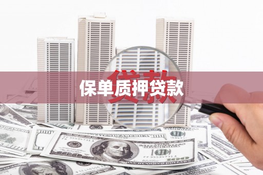 武隆保单质押贷款
