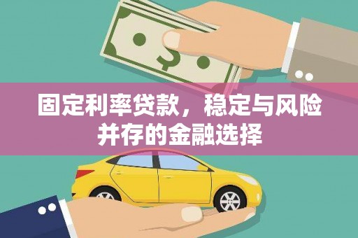 蔡甸固定利率贷款，稳定与风险并存的金融选择