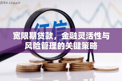 滨城宽限期贷款，金融灵活性与风险管理的关键策略