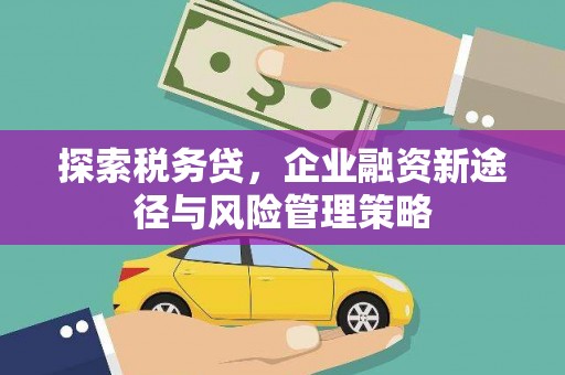 美姑探索税务贷，企业融资新途径与风险管理策略