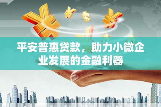 东营平安普惠贷款，助力小微企业发展的金融利器
