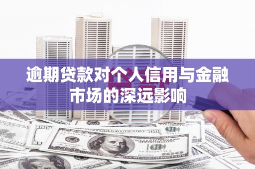 赤城逾期贷款对个人信用与金融市场的深远影响
