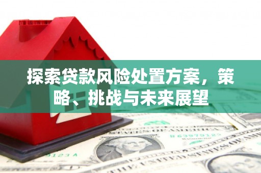 大湖探索贷款风险处置方案，策略、挑战与未来展望