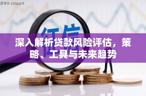 二水深入解析贷款风险评估，策略、工具与未来趋势