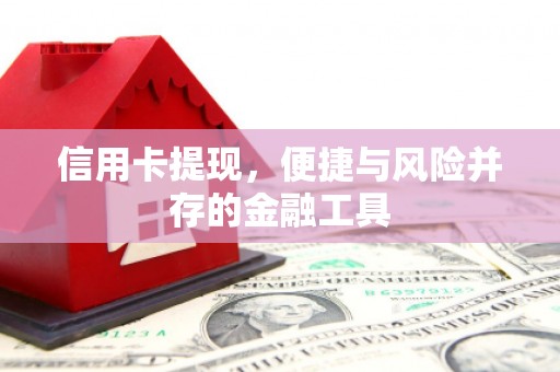 阿里山信用卡提现，便捷与风险并存的金融工具