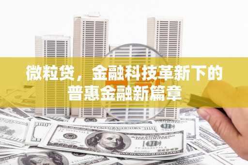 湖北微粒贷，金融科技革新下的普惠金融新篇章