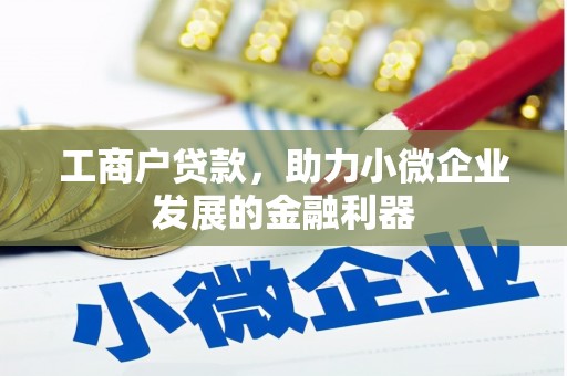 汉阳工商户贷款，助力小微企业发展的金融利器