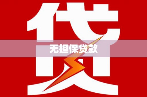 理县无担保贷款