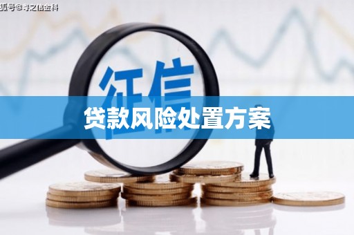 禹王台贷款风险处置方案