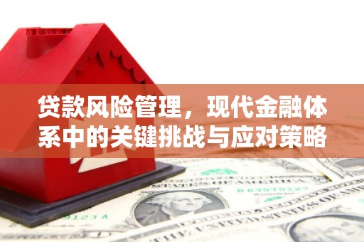 长葛贷款风险管理，现代金融体系中的关键挑战与应对策略
