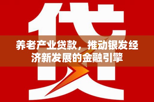 南头养老产业贷款，推动银发经济新发展的金融引擎