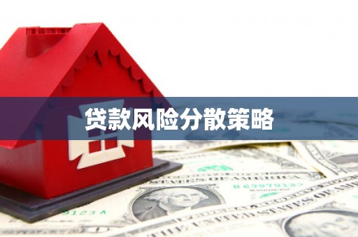 庆元贷款风险分散策略