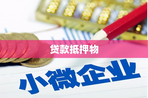 泌阳贷款抵押物