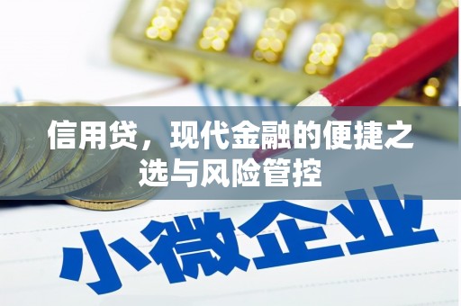 吉隆信用贷，现代金融的便捷之选与风险管控