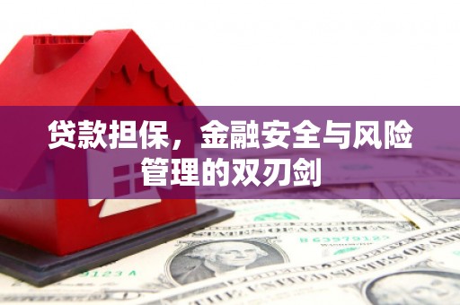 丰顺贷款担保，金融安全与风险管理的双刃剑
