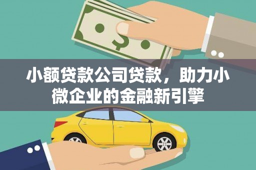 南召小额贷款公司贷款，助力小微企业的金融新引擎