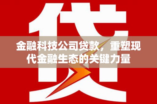 喜德金融科技公司贷款，重塑现代金融生态的关键力量