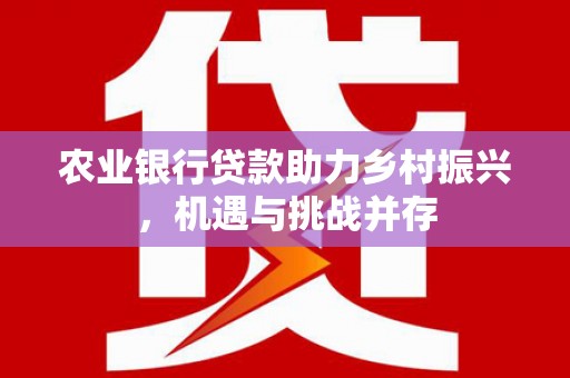 兰考农业银行贷款助力乡村振兴，机遇与挑战并存