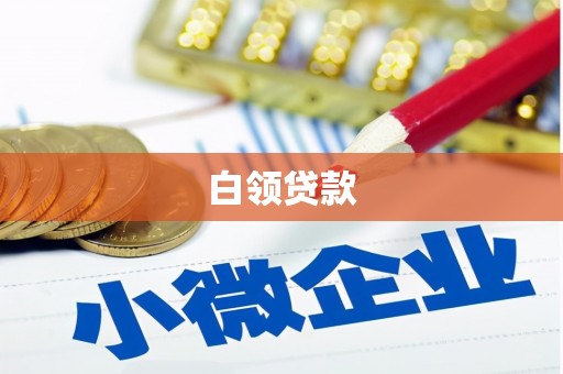 临邑白领贷款
