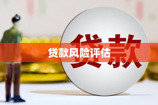 喜德贷款风险评估