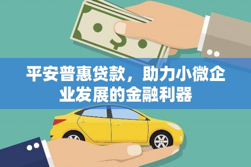 鸟松平安普惠贷款，助力小微企业发展的金融利器