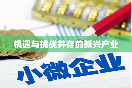工农机遇与挑战并存的新兴产业