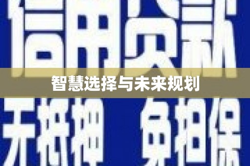 宝山智慧选择与未来规划