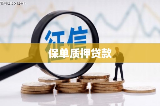 天桥保单质押贷款