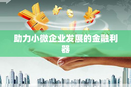 镇雄助力小微企业发展的金融利器