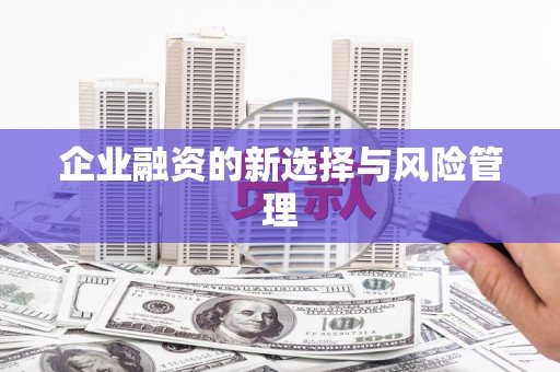 茂南企业融资的新选择与风险管理