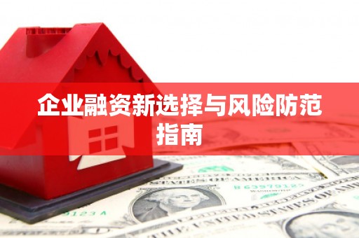 龙江企业融资新选择与风险防范指南