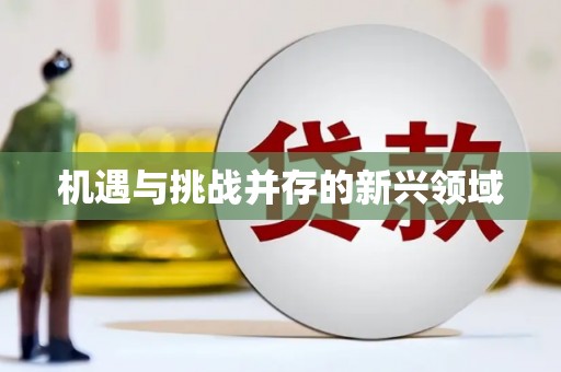 泗阳机遇与挑战并存的新兴领域