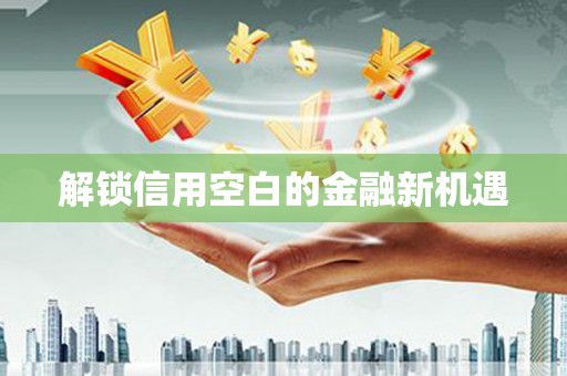 市中区解锁信用空白的金融新机遇