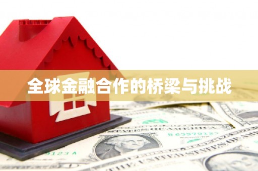 错那全球金融合作的桥梁与挑战