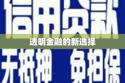 龙岗透明金融的新选择